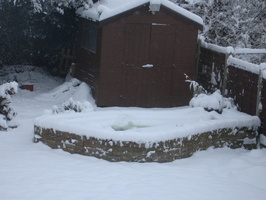 Pond Overview 5th January